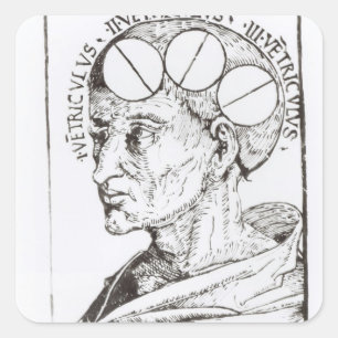 Phrenologie Quadratischer Aufkleber