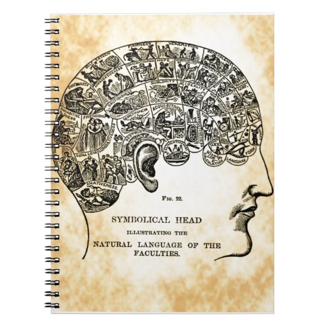 Phrenologie Steampunk Vintages Notizbuch Notizblock (Vorderseite)