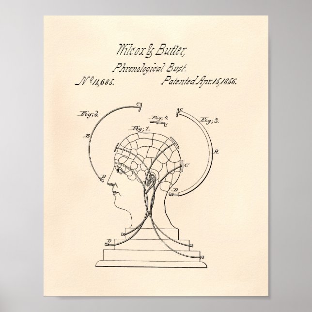 Phrenologische Büste 1856 Patent Art Old Peper Poster (Vorne)