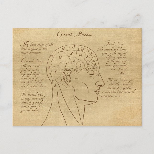 Phrenology Diagram Postkarte (Vorderseite)