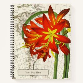 Phycella Fulgens-Notebook Notizbuch