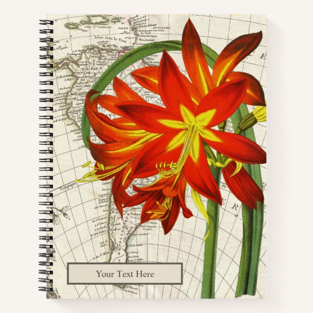 Phycella Fulgens-Notebook Notizbuch (Vorderseite)