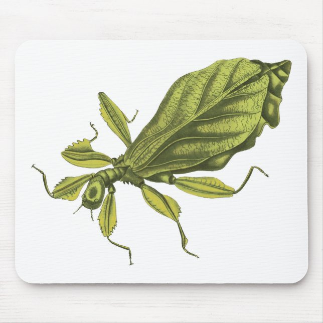 Phyllium Siccifolia Mousepad (Vorne)