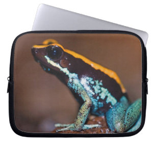 Phyllobates vittatus, ein Pfeilgiftfrosch Laptopschutzhülle