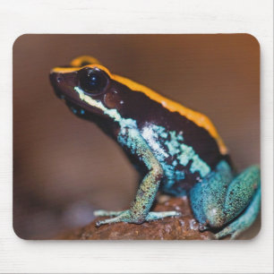 Phyllobates vittatus, ein Pfeilgiftfrosch Mousepad