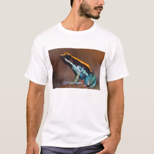 Phyllobates vittatus, ein Pfeilgiftfrosch T-Shirt