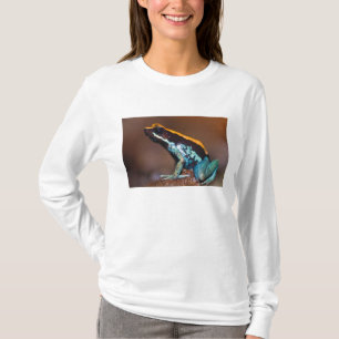 Phyllobates vittatus, ein Pfeilgiftfrosch T-Shirt