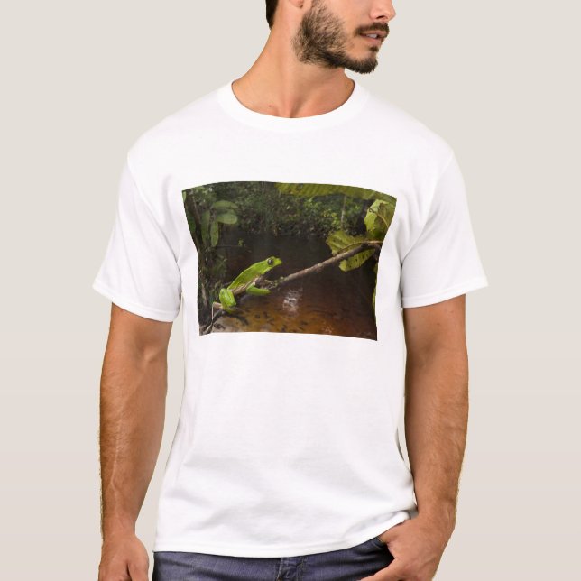 Phyllomedusa bicolor) 2 T-Shirt (Vorderseite)