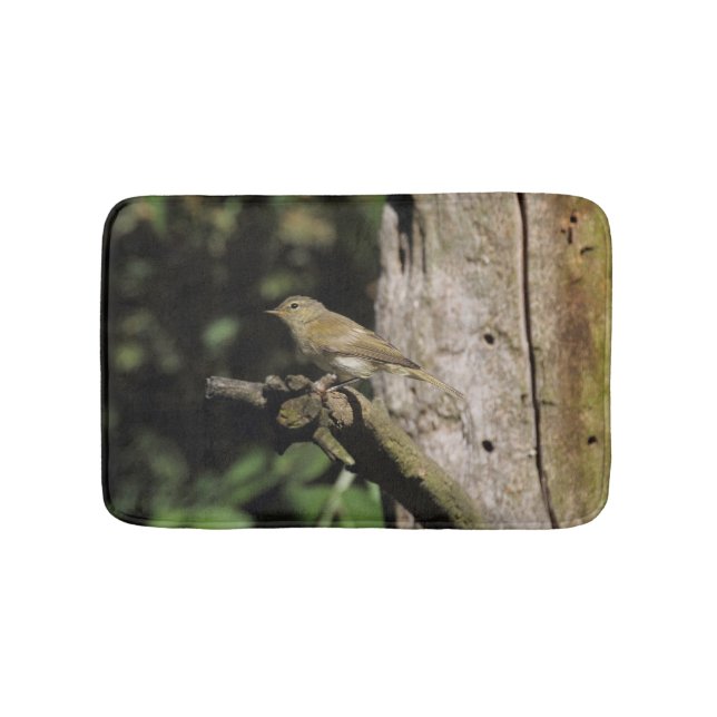 Phylloscopus collybita badematte (Vorderseite)