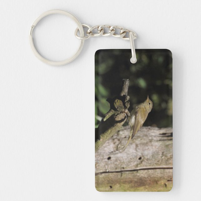 Phylloscopus collybita schlüsselanhänger (Vorderseite)