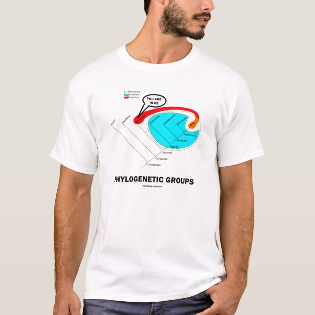 Phylogenetische Gruppen - Sie sind hier T-Shirt (Vorderseite)