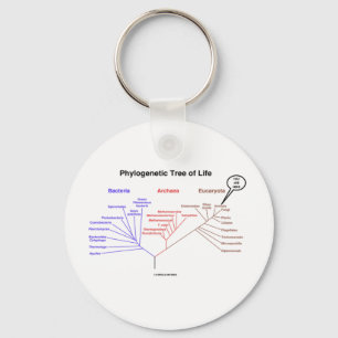 Phylogenetischer Baum des Lebens - Sie sind hier Schlüsselanhänger