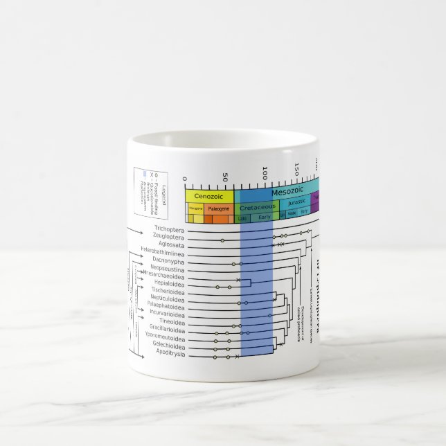 Phylogenetisches Diagramm von Lepidoptera Kaffeetasse (Mittel)