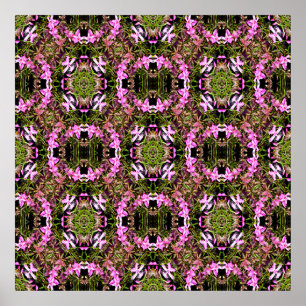 Phylox Galore...... Poster