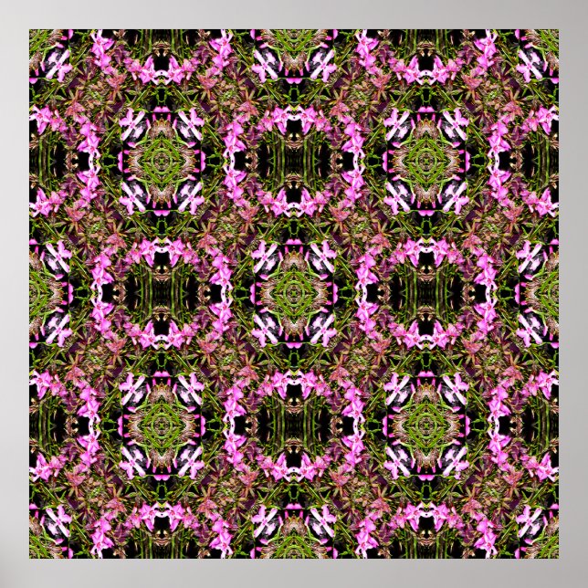 Phylox Galore...... Poster (Vorne)