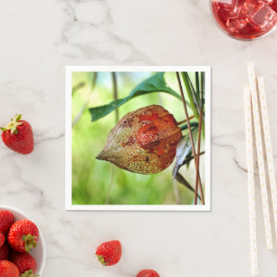 Physalis alkekengengi Paper Napkins Serviette