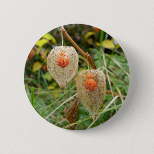Physalis alkekengi Abzeichen Button