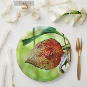 Physalis alkekengi Papierplatte Pappteller