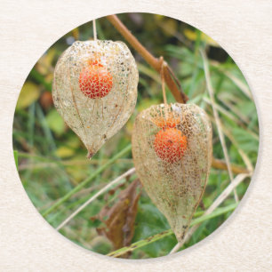 Physalis alkekengi runder pappuntersetzer