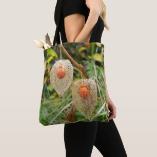 Physalis alkekengi tasche