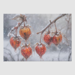 Physalis Fruit auf einem Zweig im Schnee Seidenpapier