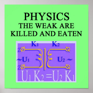 PHYSIK POSTER