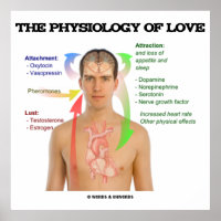 Physiologie der Liebe (Symptome der Liebe)