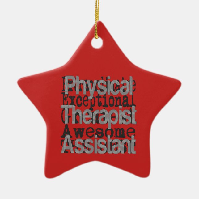 PhysiotherapeutAssistant Extraordinaire Keramik Ornament (Vorne)