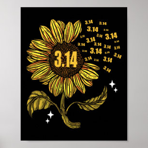 Pi Tag 3.14 Zahlenzeichen für Mathematiklehrer Poster