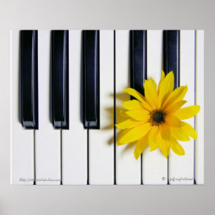 Piano-Blume Poster