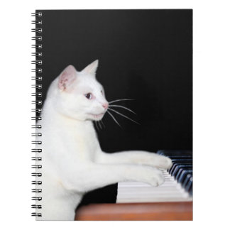 Piano spielt Katze Notizblock