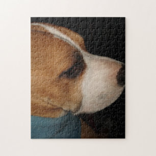 Pibbles