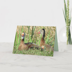 Pic of Black-Bellied Pfistling Encks Birthday Feiertagskarte