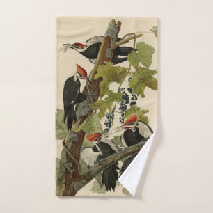 Pic pilé d'Audubon Birds of America