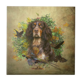 Picardie Spaniel , Jagdsaison Fliese