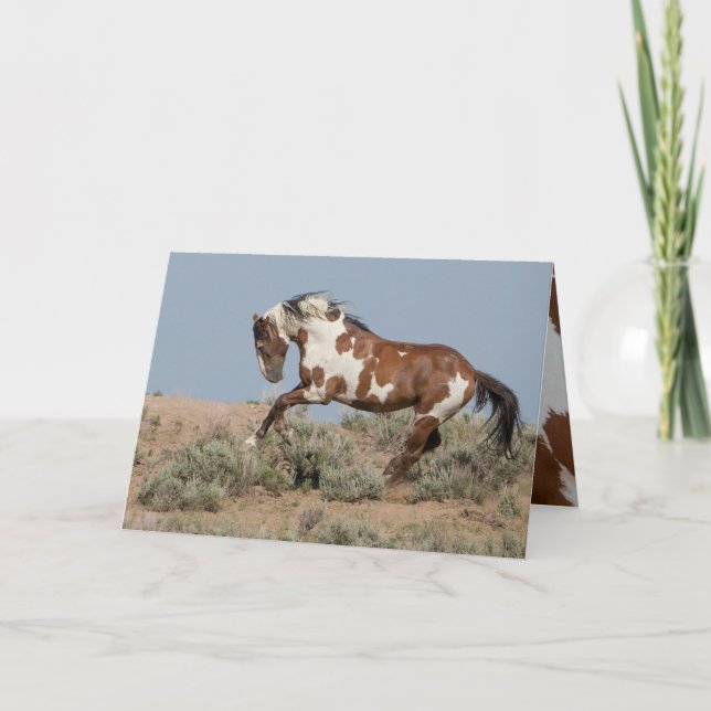 Picasso holt Grußkarte Wildes Pferd Karte (Vorderseite)