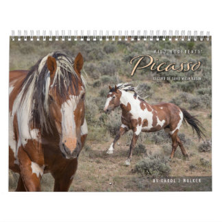 Picasso II - Kalender der wilden Pferde