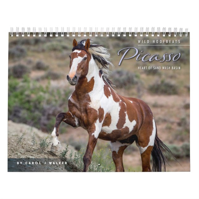 Picasso: Kalender des Sandwaschbeckens (Titelbild)