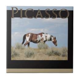 Picasso, Stallion des Sand-Waschbeckens, Colorado Fliese