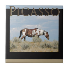 Picasso, Stallion des Sand-Waschbeckens, Colorado Fliese