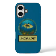 Picasso Triggerfish Blue