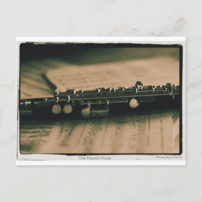 Piccolo Flute 1839 Postkarte (Vorderseite)