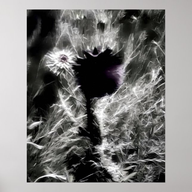 Pick Me Poster (Vorne)