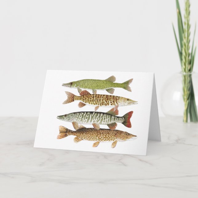 Pickerel, Muskies u. Pike Karte (Vorderseite)