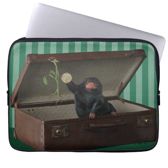 Pickett & Teddy in einem kurzen Vortrag Laptopschutzhülle (Vorderseite)