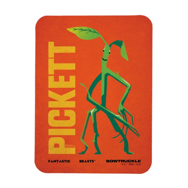 Pickett Vintag Graphic Magnet (Vertikal)