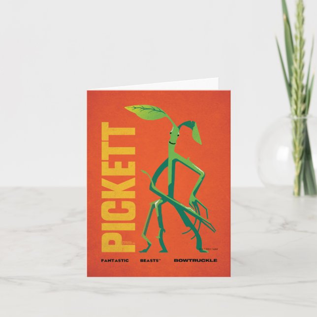 Pickett Vintage Graphic (Devant)