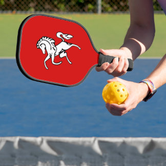 Pickleball Paddle with flag of Kent County