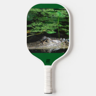 Pickleball Raquette de pickle ball Alligator