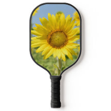 Pickleball-Schläger